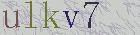 capcha-img