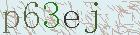 capcha-img